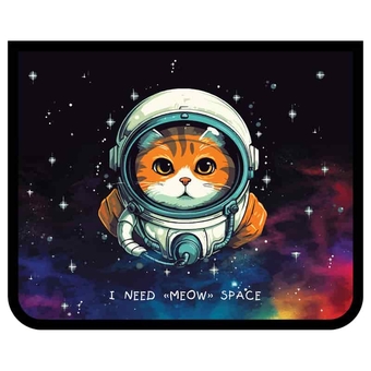 Папка для тетрадей ф.А5 1 отделение на молнии "Meow Space" пластик на молнии (Art Space)