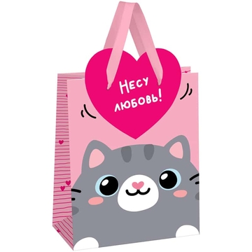 Сумка подарочная 18*23*10см  Give love фольга   матовая ламинация (MESHU)