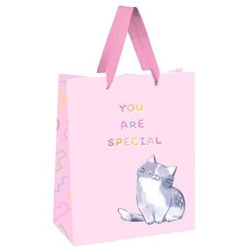 Сумка подарочная 18*23*10см  You are special выб. лак белый крафт (MESHU)