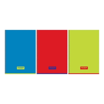 Тетрадь 120л. А4 клетка спираль Copybook   (BG)