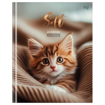 Дневник для младших классов "Soft" твердая обложка (BG)