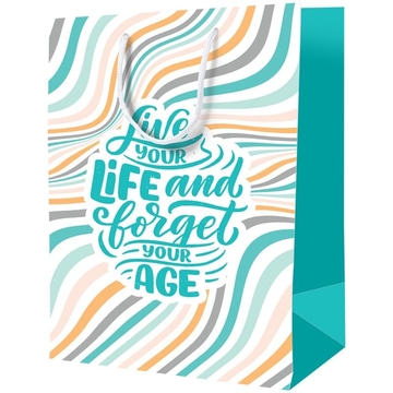Сумка подарочная 33*42*12см  "Forget age"(Art Space)