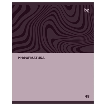 Тетрадь Информатика 48л. А5 Single colour (BG)