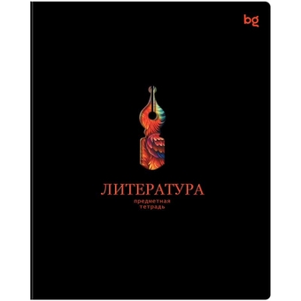Тетрадь Литература 48л. А5 Информационное поле (BG)