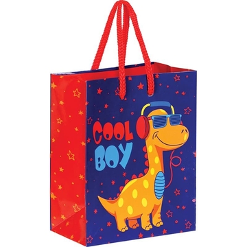 Сумка подарочная 11*14*6,5см "Cool Boy" (Art Space)